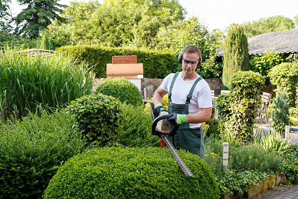 Best Storm Damage Tree Cleanup  in Spring City, PA